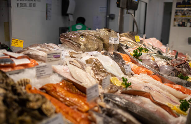 A selection of fresh fish